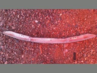 bontott BMW X3 Első Lökhárító Merevítő (Fém)