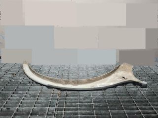 bontott BMW X3 Jobb hátsó Sárvédő Díszléc