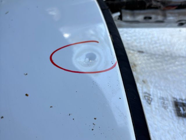 bontott BMW X6 Csomagtérajtó (Üres lemez)