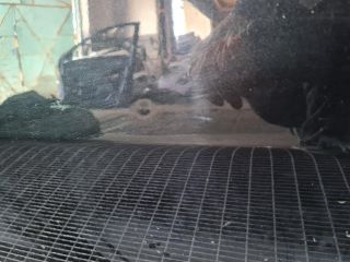 bontott BMW X6 Jobb első Ajtó (Üres lemez)