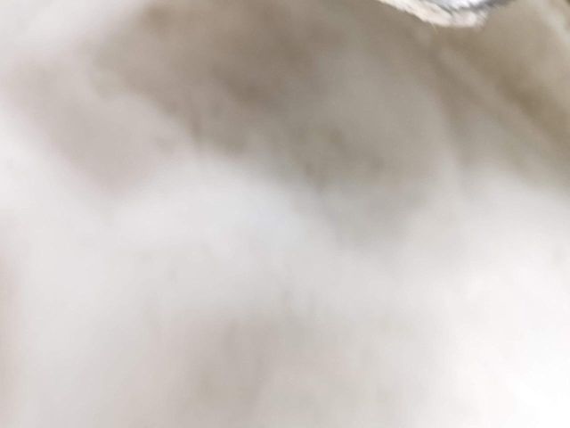 bontott BMW Z4 Csomagtérajtó (Üres lemez)