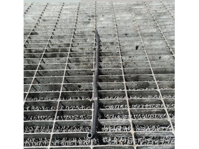 bontott CHEVROLET CAPTIVA Résolajcső