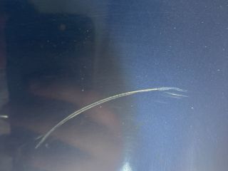 bontott CHEVROLET LACETTI Csomagtérajtó (Részeivel)