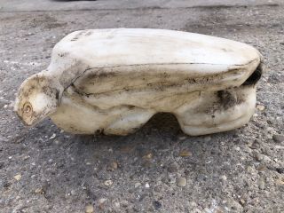 bontott CITROËN BERLINGO Ablakmosó Tartály