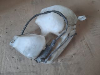 bontott CITROËN BERLINGO Ablakmosó Tartály