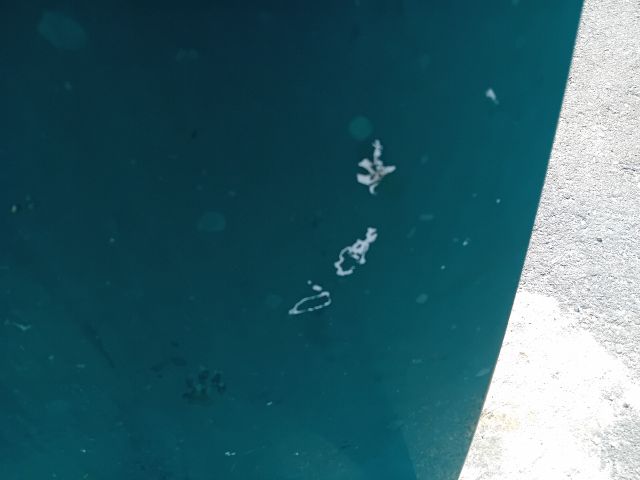 bontott CITROËN BERLINGO Motorháztető