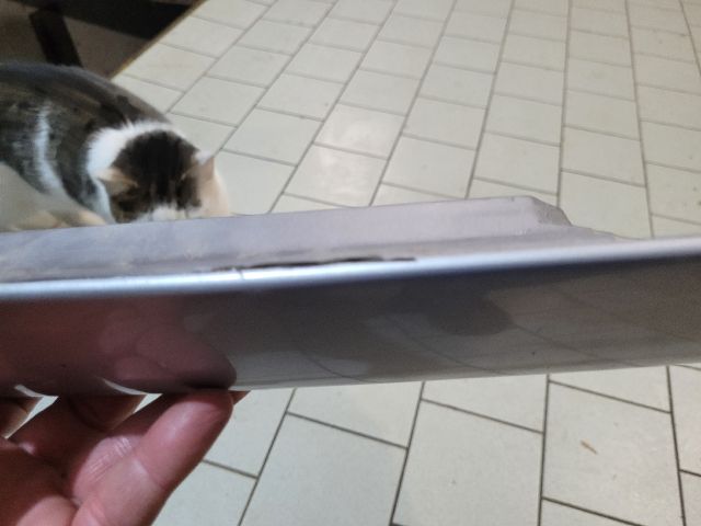 bontott CITROËN BERLINGO Rendszámtábla Világítás Keret