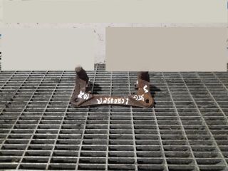 bontott CITROËN C-CROSSER Bal hátsó Fékkengyel