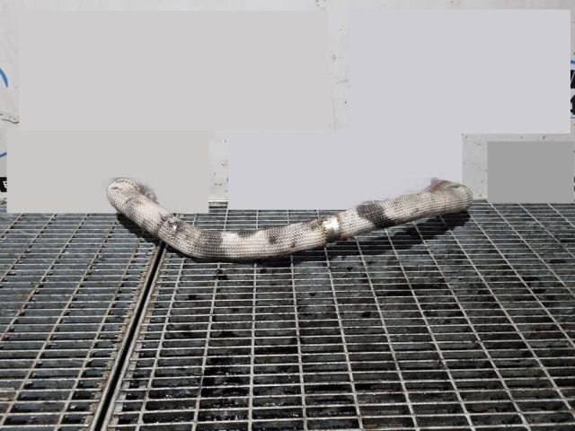 bontott CITROËN C-CROSSER EGR Hűtő Cső