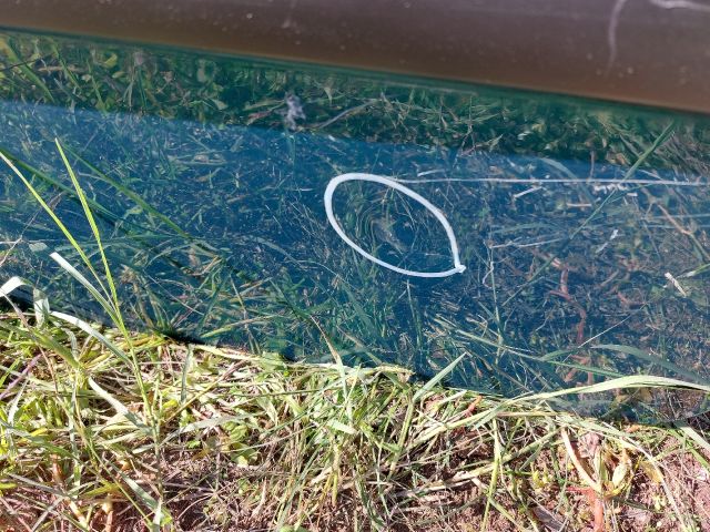 bontott CITROËN C3 Bal hátsó Ajtó (Részeivel)