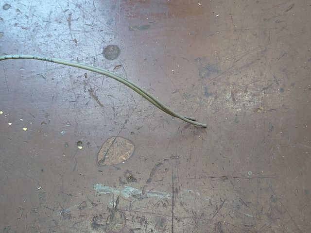 bontott CITROËN C3 Belső Hőmérséklet Érzékelő