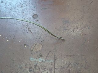 bontott CITROËN C3 Belső Hőmérséklet Érzékelő