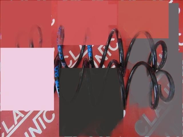 bontott CITROËN C3 III Hátsó Rugó