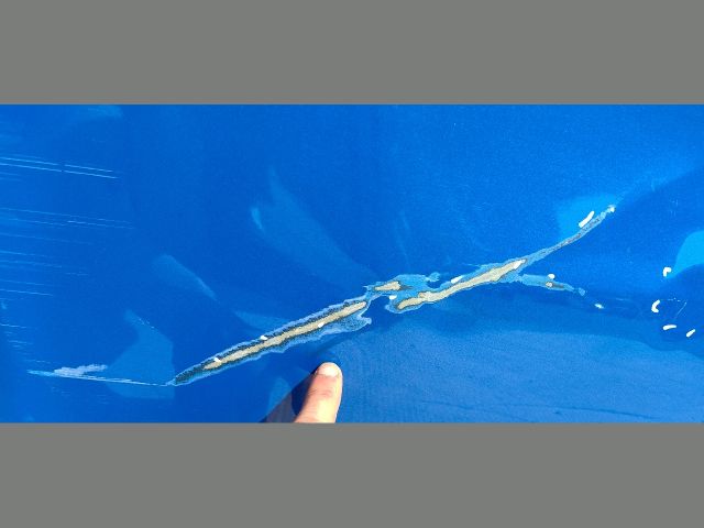 bontott CITROËN C3 III Jobb hátsó Ajtó (Üres lemez)