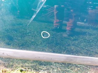 bontott CITROËN C3 Jobb első Ajtó (Részeivel)