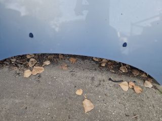 bontott CITROËN C3 Motorháztető