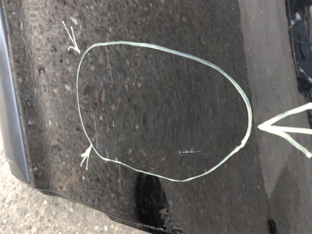 bontott CITROËN C3 PICASSO Jobb hátsó Ajtó (Üres lemez)