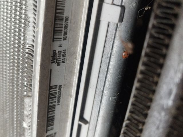 bontott CITROËN C4 Komplett Homlokfal (Részeivel)