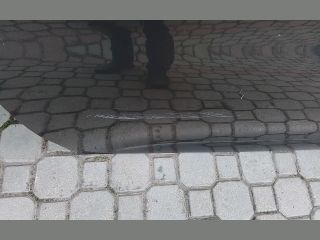 bontott CITROËN C4 Bal első Ajtó (Részeivel)