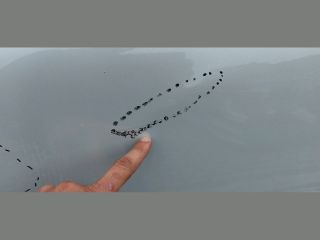 bontott CITROËN C4 CACTUS Bal első Ajtó (Üres lemez)