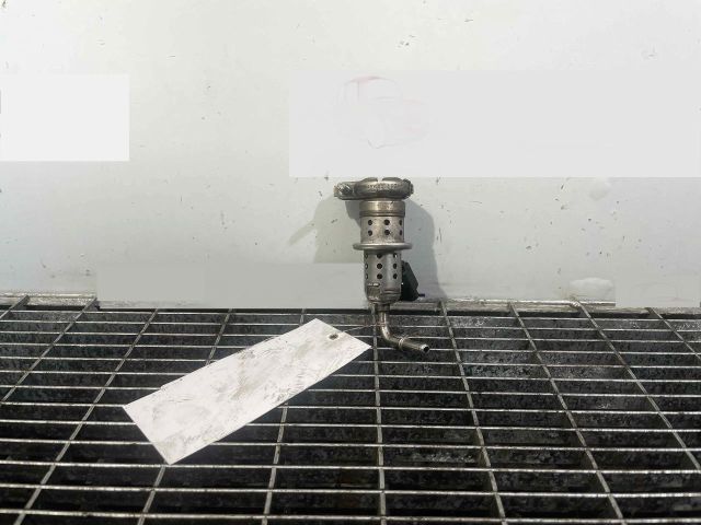 bontott CITROËN C4 PICASSO Porlasztó (1 db)