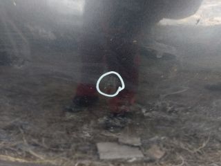 bontott CITROËN C4 PICASSO Motorháztető