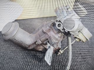 bontott CITROËN C5 Turbó