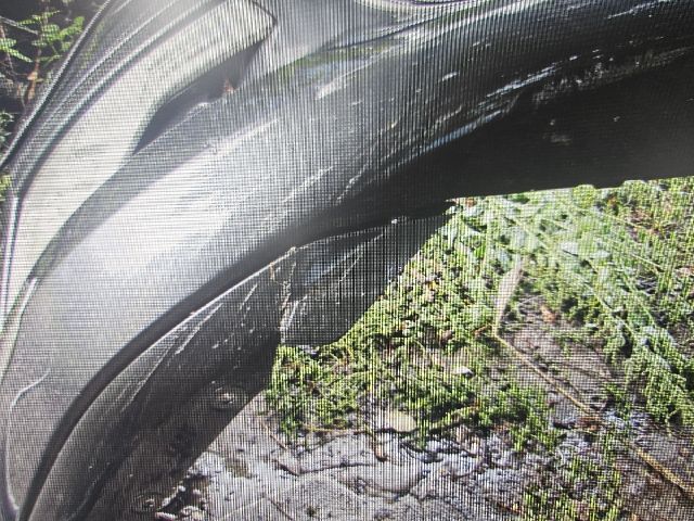 bontott CITROËN C5 Első Lökhárító (Részeivel)