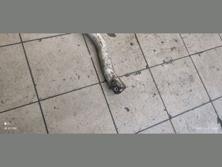 bontott CITROËN C5 Jobb első Hossznyúlvány