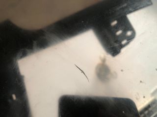 bontott CITROËN C5 Jobb hátsó Ablak