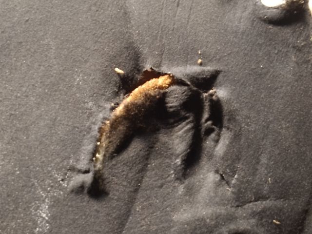 bontott CITROËN C5 Motorháztető Szigetelés