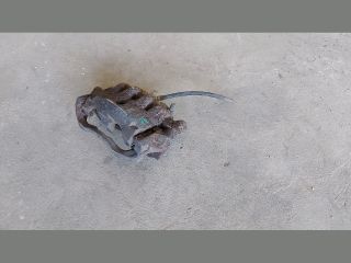 bontott CITROËN JUMPER Bal első Féknyereg Munkahengerrel