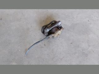 bontott CITROËN JUMPER Jobb hátsó Féknyereg Munkahengerrel