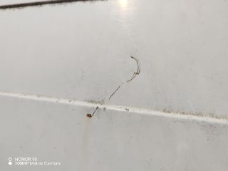 bontott CITROËN JUMPER Jobb Tolóajtó (Részeivel)