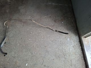 bontott CITROËN JUMPY Szervócső