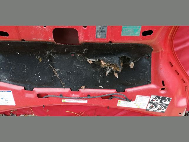 bontott CITROËN NEMO Motorháztető