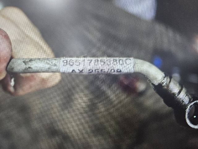 bontott CITROËN XSARA PICASSO Turbó Olajcső