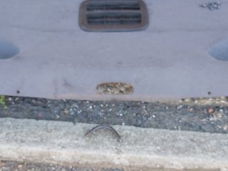 bontott CITROËN XSARA PICASSO Csomagtérajtó Burkolat (Részeivel)