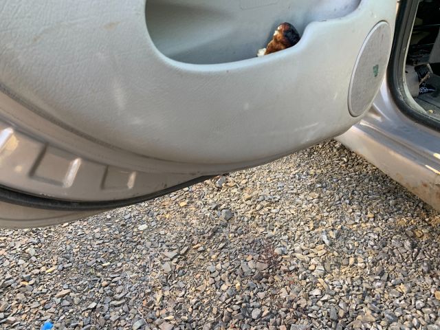 bontott CITROËN XSARA PICASSO Motorháztető Zsanér Pár