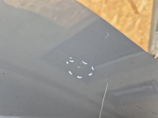 bontott CUPRA BORN Bal első Sárvédő