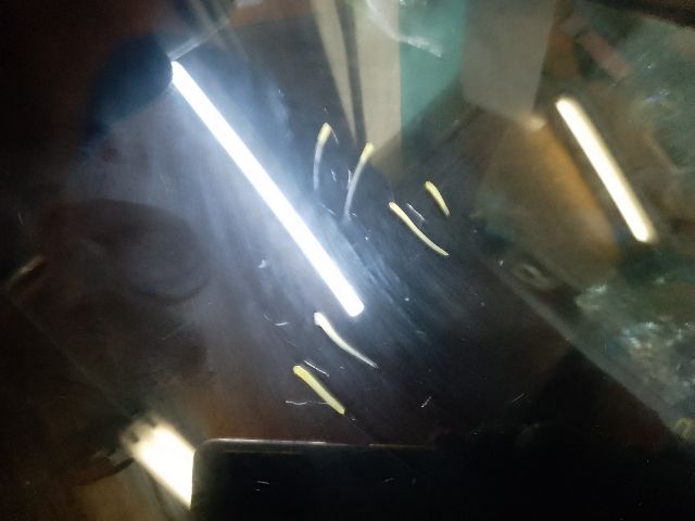 bontott DACIA DUSTER Bal C Oszlop Oldalablak Üveg