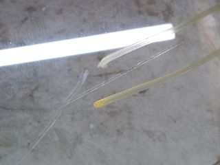 bontott DACIA DUSTER Bal első Ablak