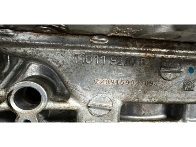 bontott DACIA JOGGER Motor (Fűzött blokk hengerfejjel)