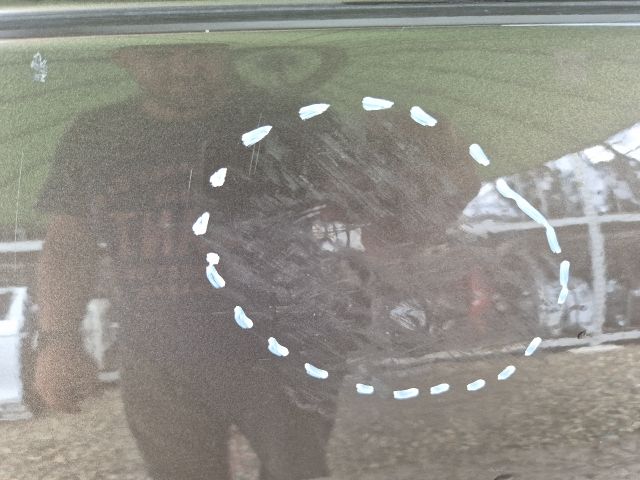 bontott DACIA LODGY Bal hátsó Ajtó (Üres lemez)