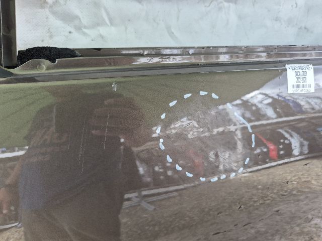 bontott DACIA LODGY Bal hátsó Ajtó (Üres lemez)