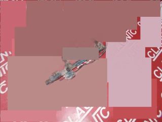 bontott DACIA LOGAN Porlasztó Sor / Híd