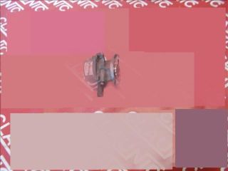 bontott DACIA LOGAN Vákumpumpa