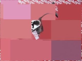 bontott DACIA LOGAN Vákumpumpa