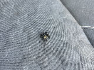 bontott DACIA LOGAN Hátsó Ülés Szett