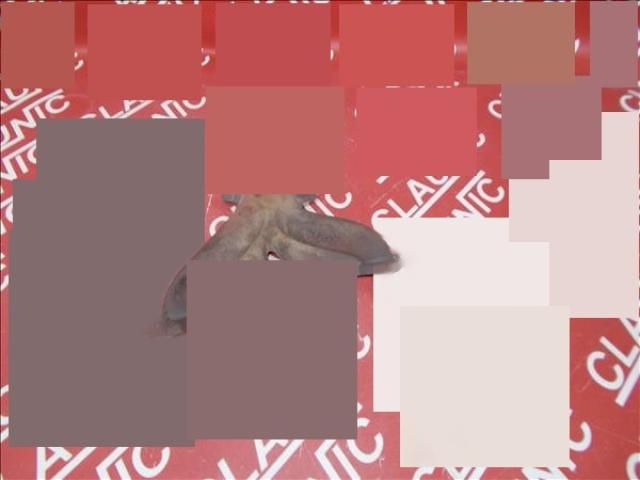 bontott DACIA LOGAN Kipufogó Közösítő